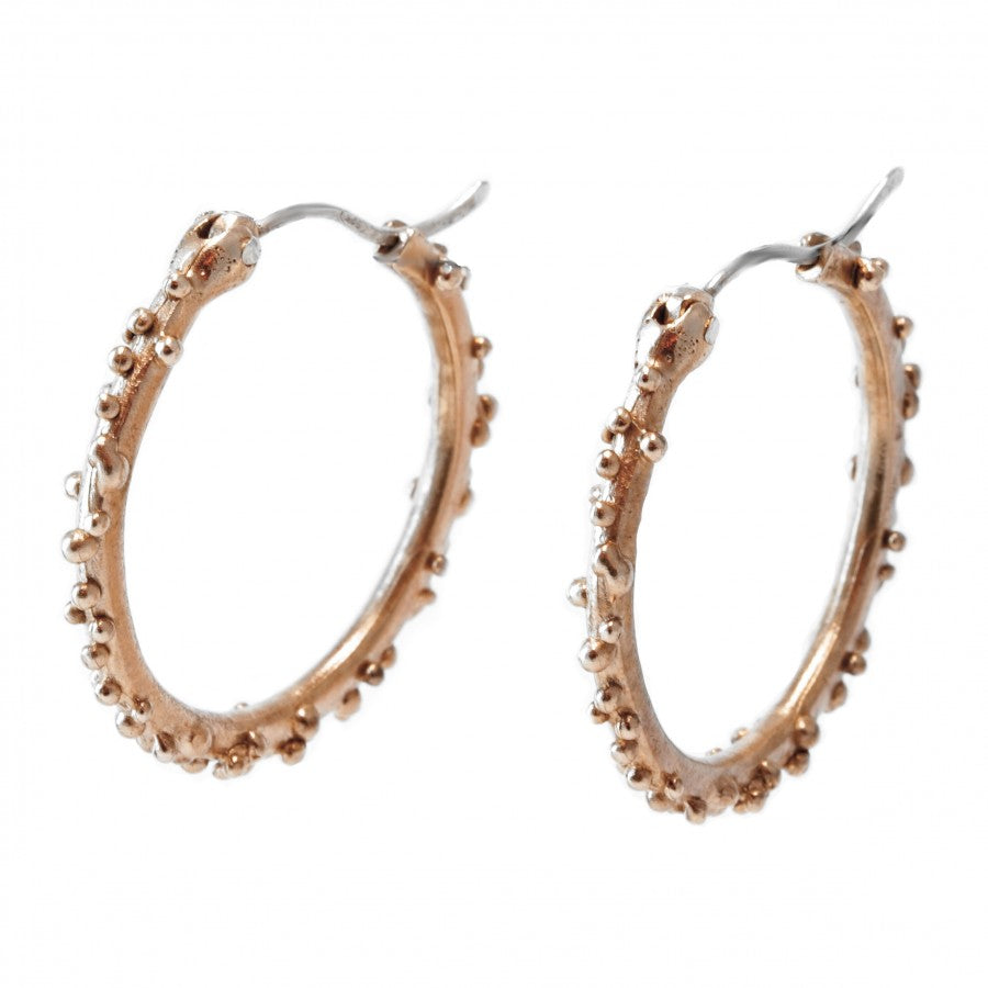 Germogli Orecchini in bronzo e argento