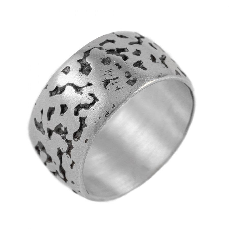 Fascia Meteorite Argento