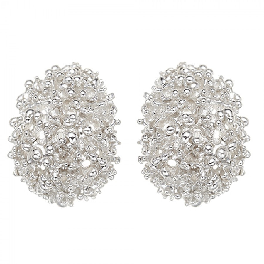 Folletto orecchini in argento