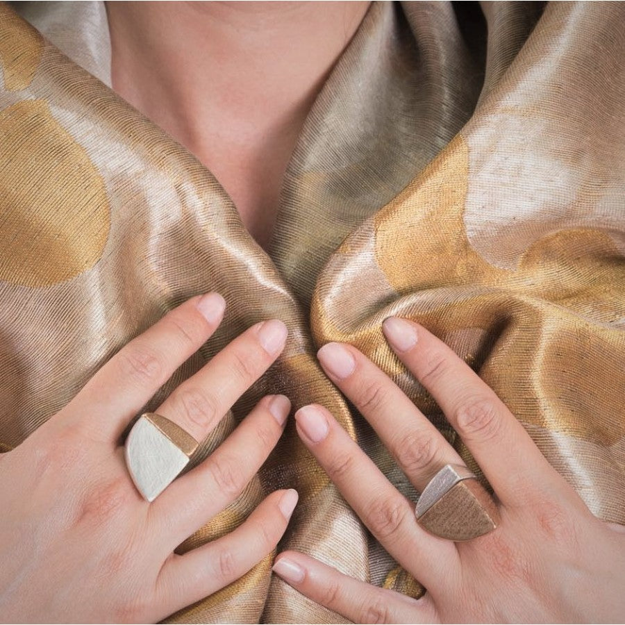 Scudo Coppia grande Bronzo