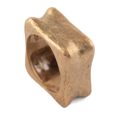 Vertebra Bronze 