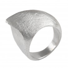 Claw silver 