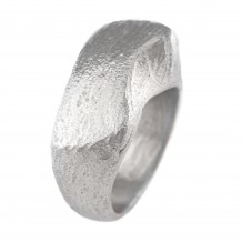 Duna Silver 
